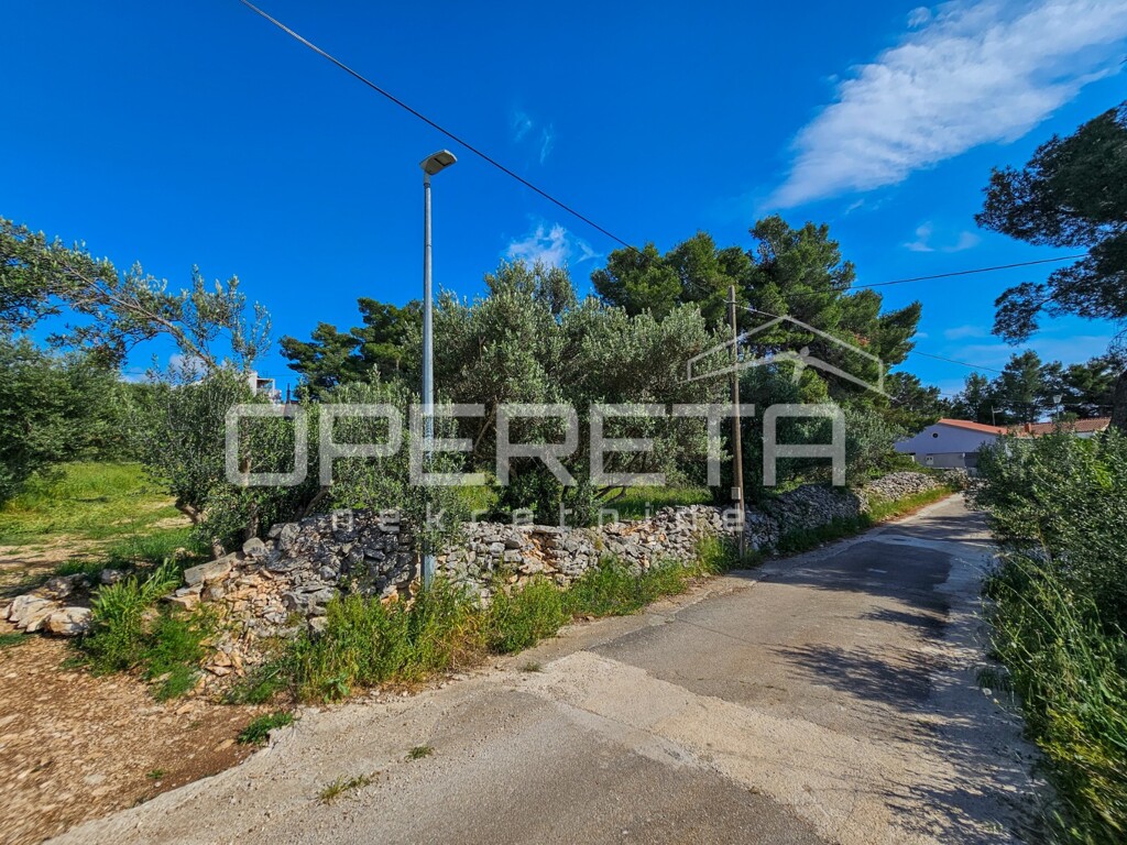 Image 12