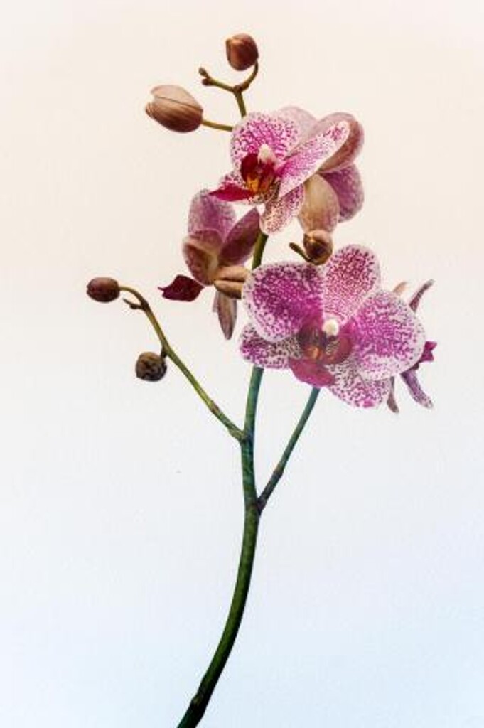 Image 3812455 - 9
