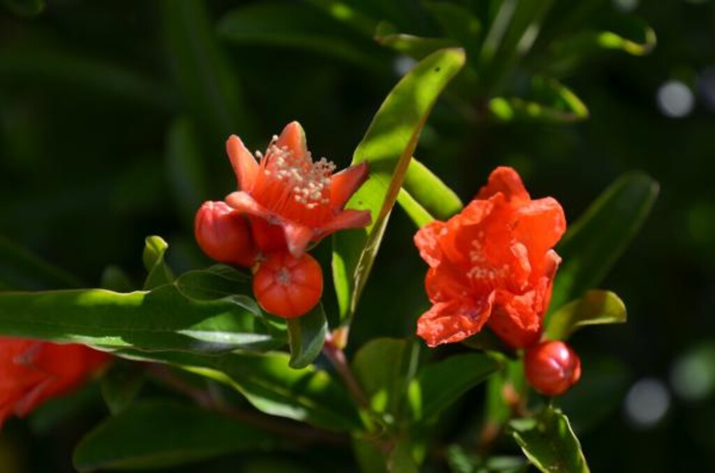 Image 3814189 - 9