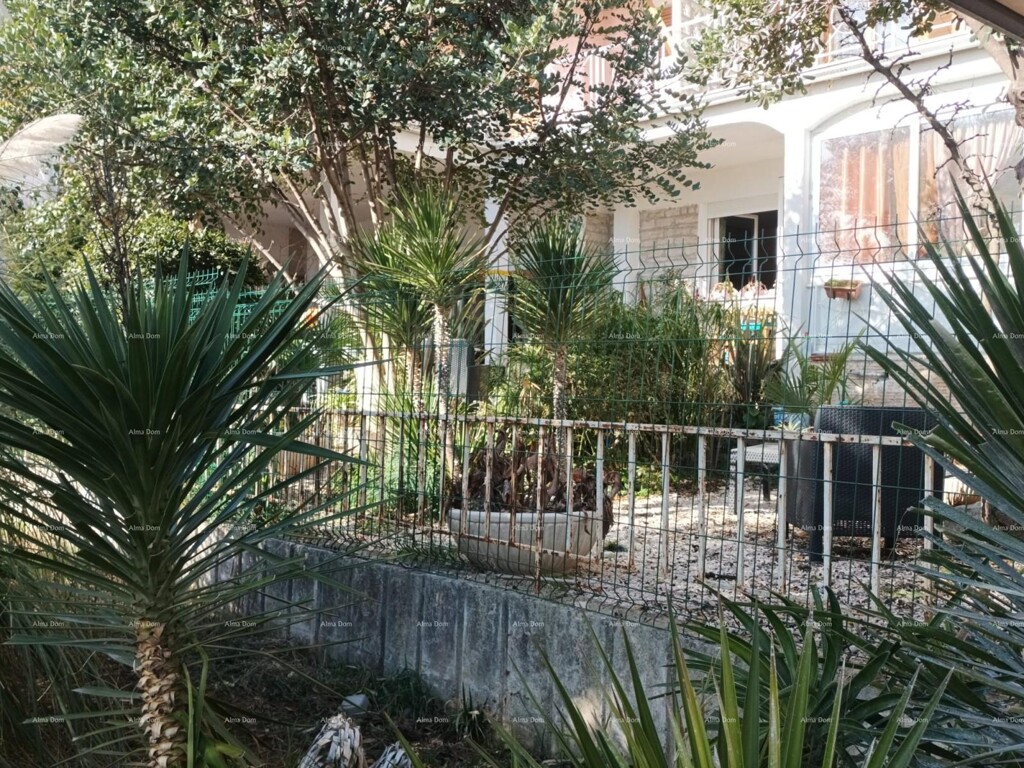 Image 15