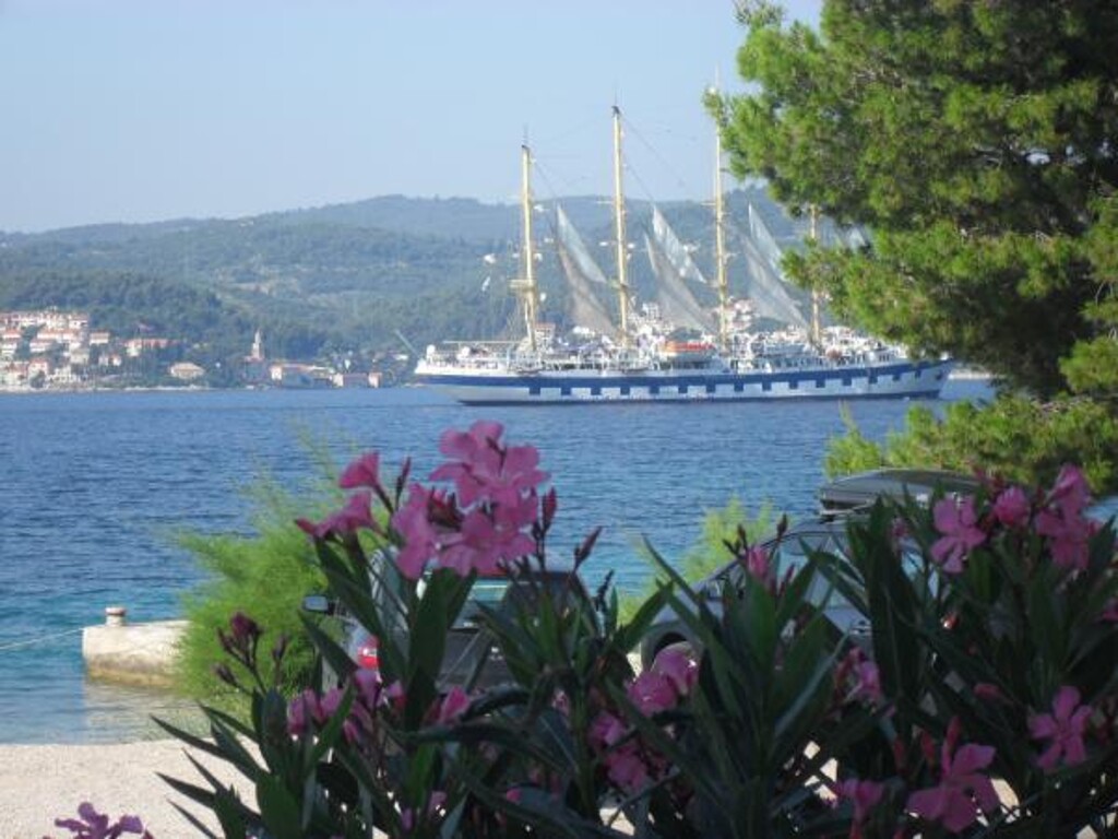 Image 3810661 - 4