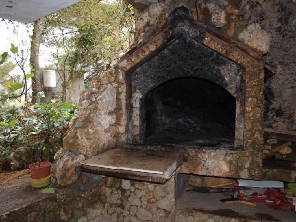 Image 8