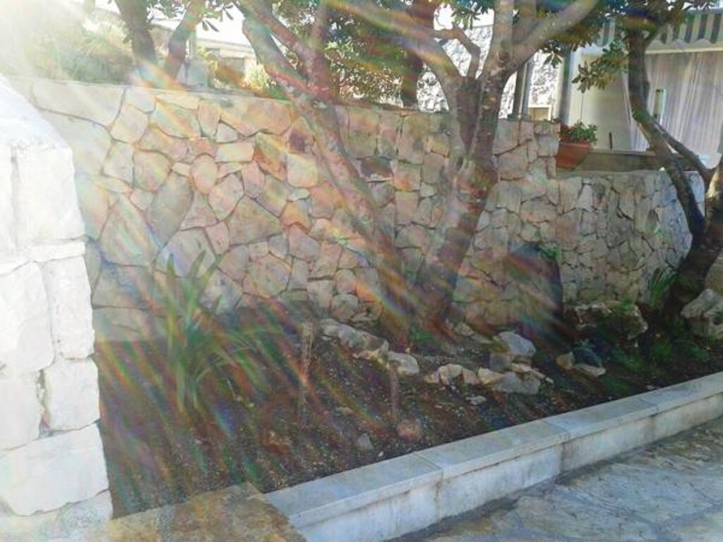 Image 3812596 - 9