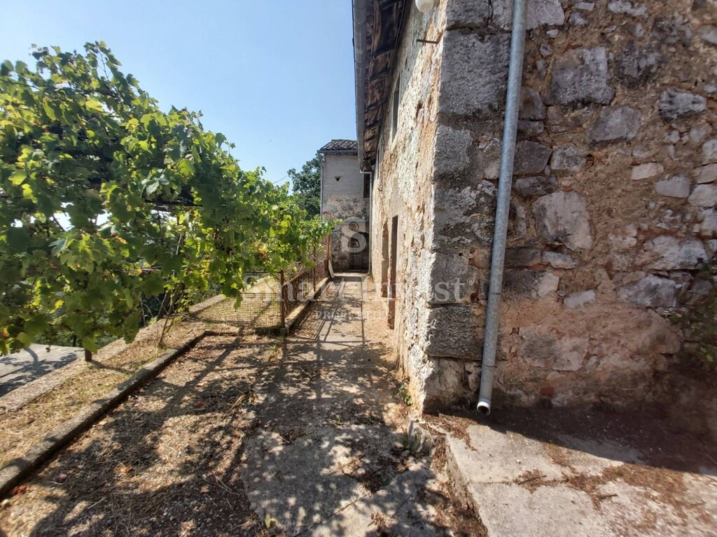 Image 10