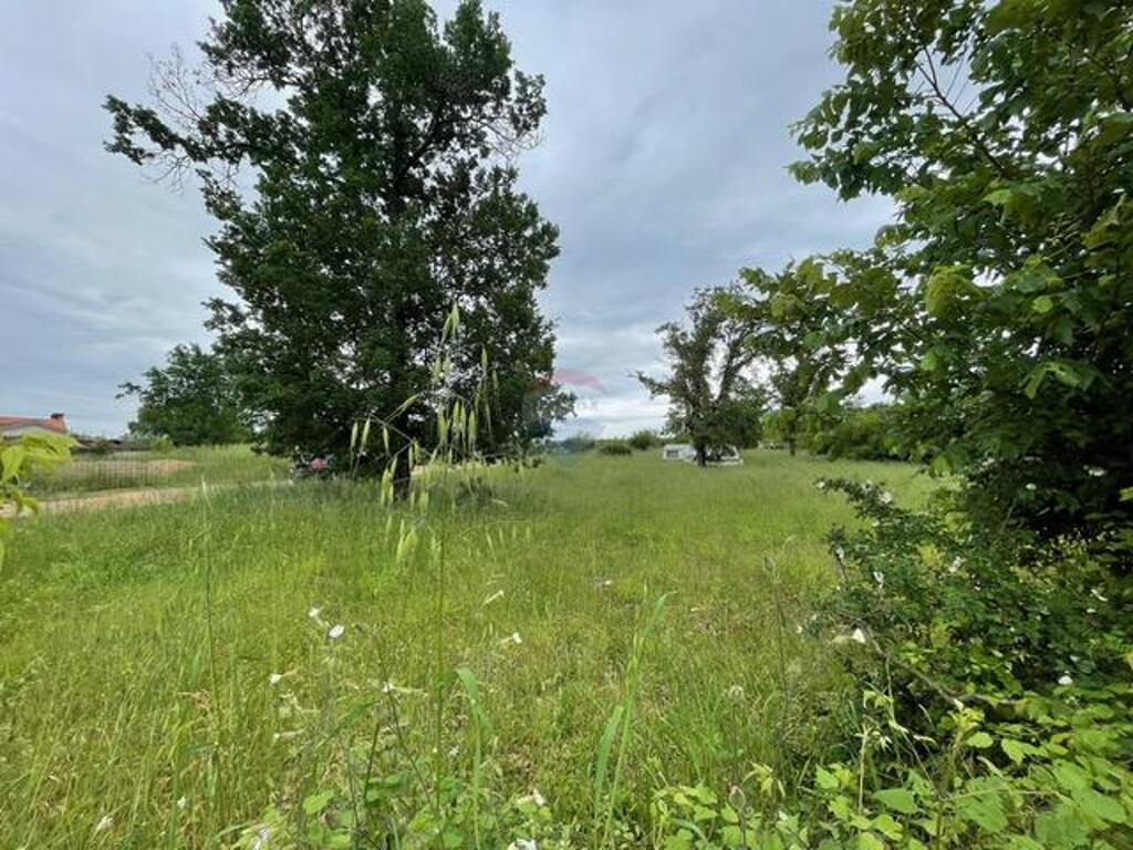 Image 15