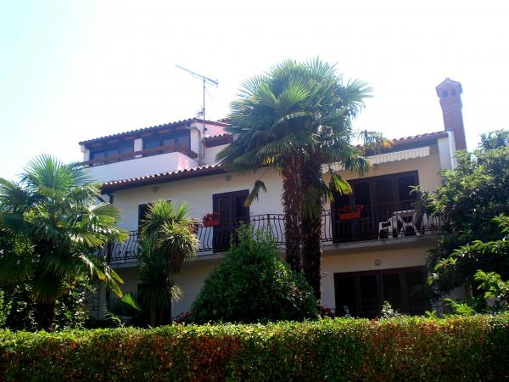 Image 3812917 - 1