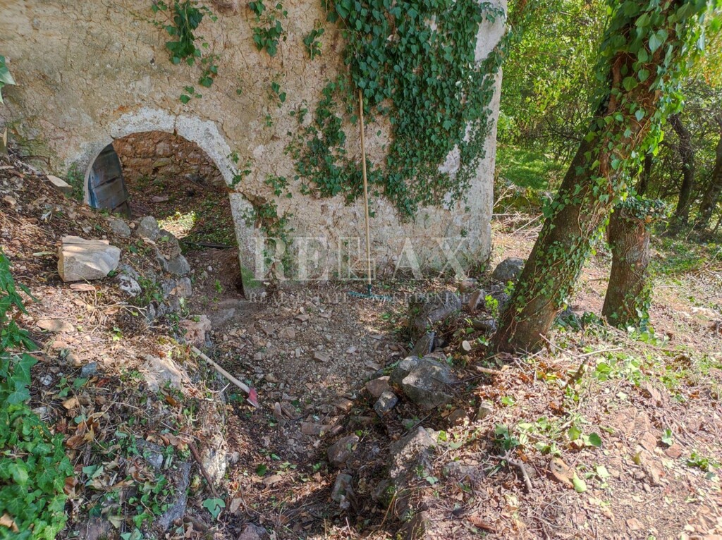 Image 6