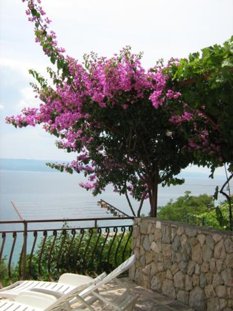 Image 3838750 - 7