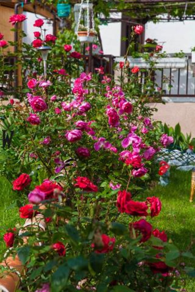 Image 3813570 - 12