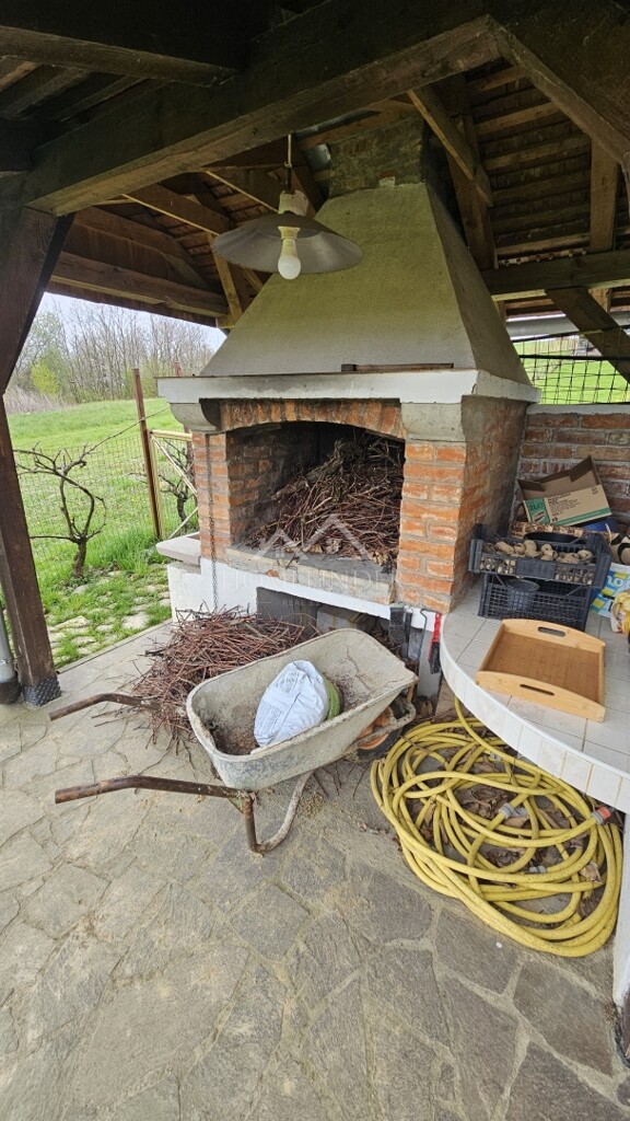 Image 12
