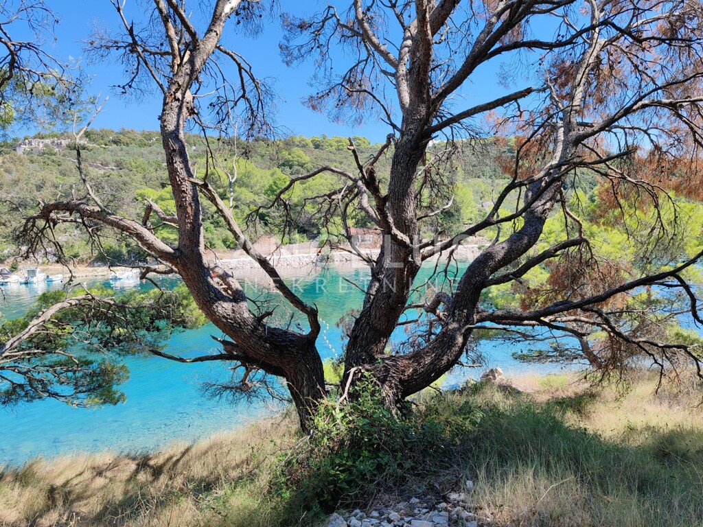 Image 10