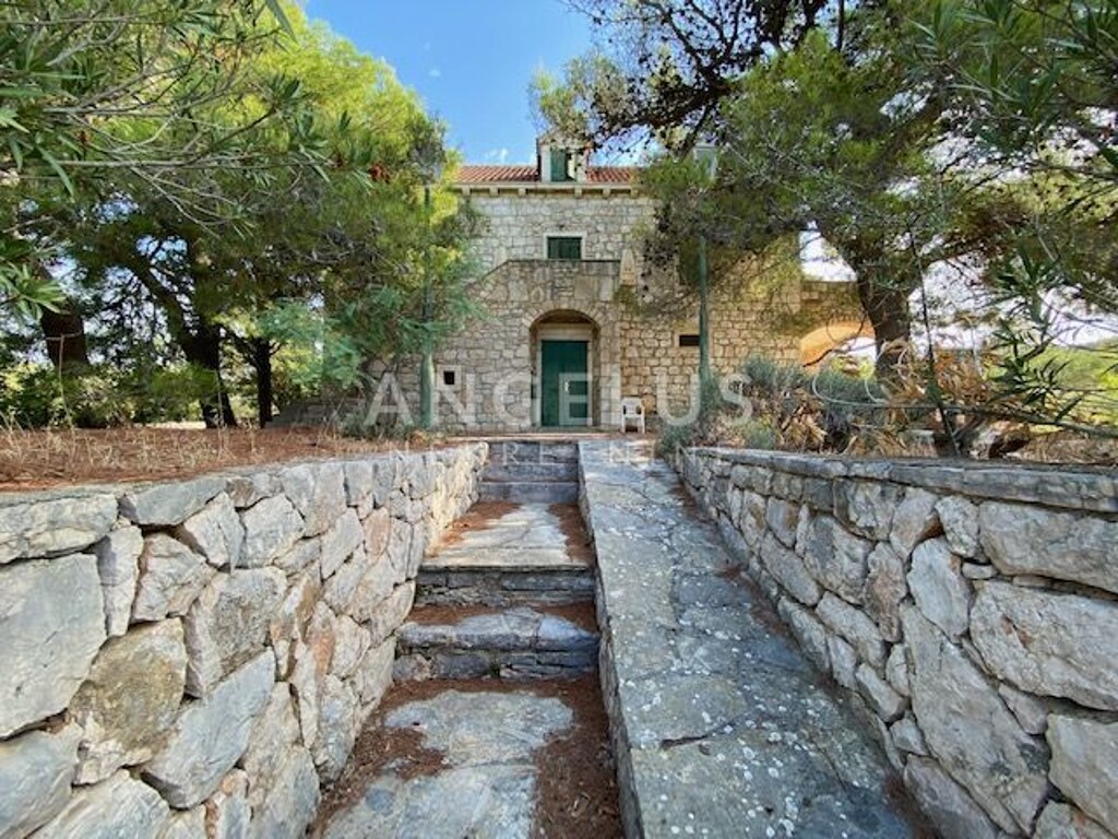 Image 6208777 - 4