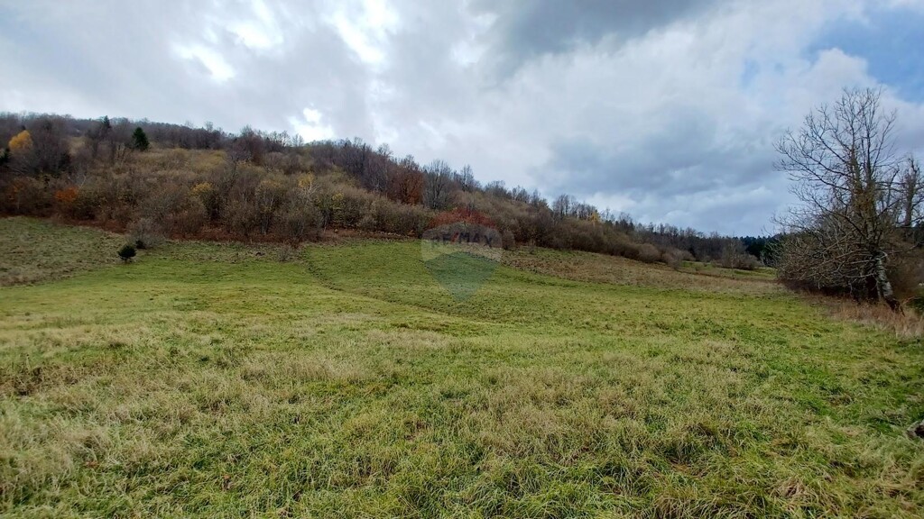 Image 5429027 - 1