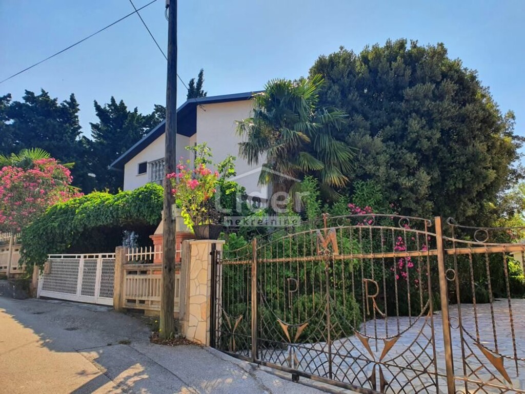 Image 21