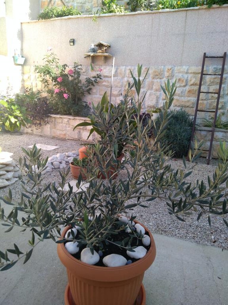 Image 3813294 - 9