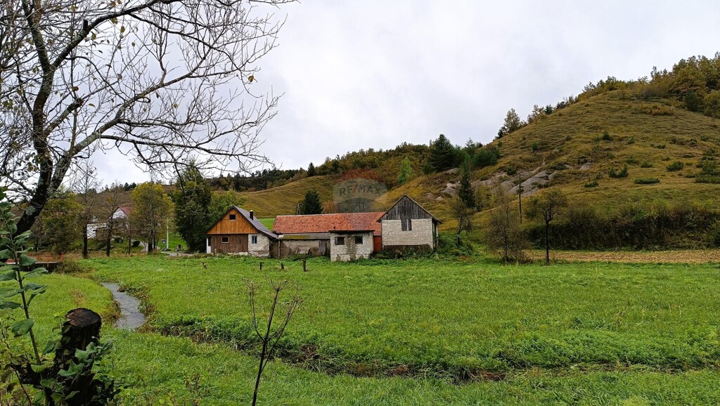 Image 6135858 - 1