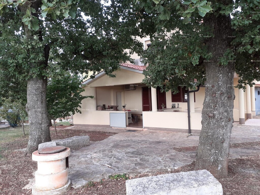 Image 24