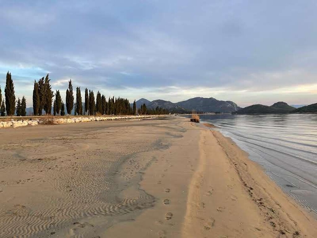 Image 3811882 - 14