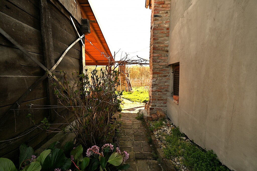 Image 17