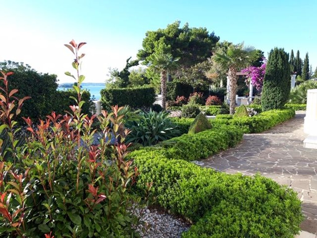 Image 3812262 - 14