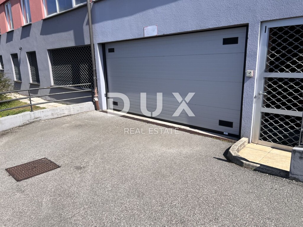 Image 19