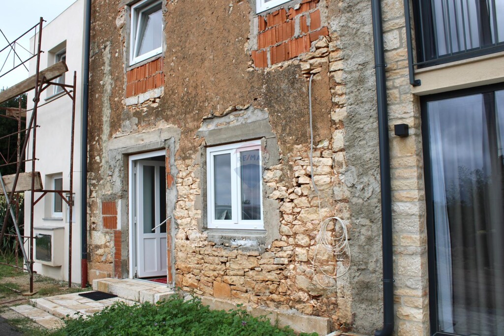 Image 12