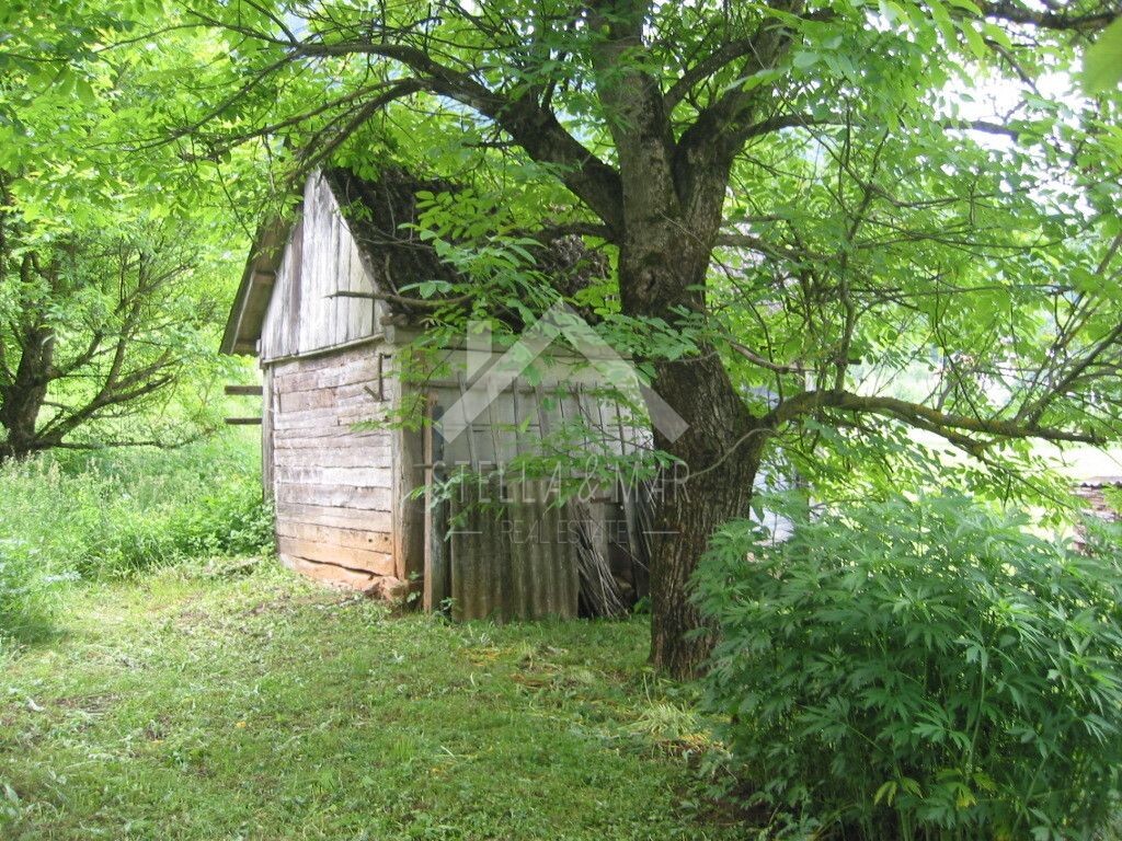 Image 5195037 - 15