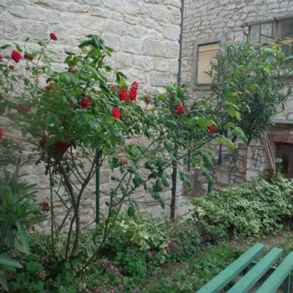 Image 3811915 - 10