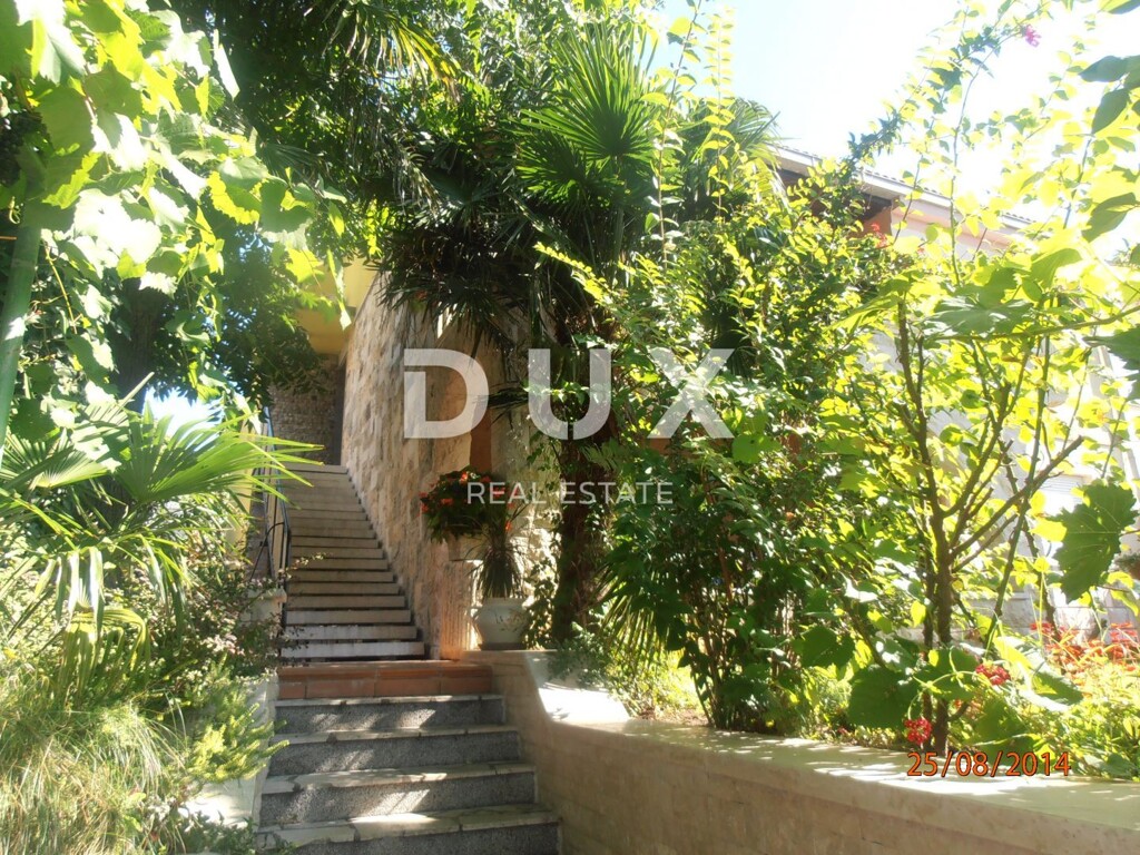 Image 15