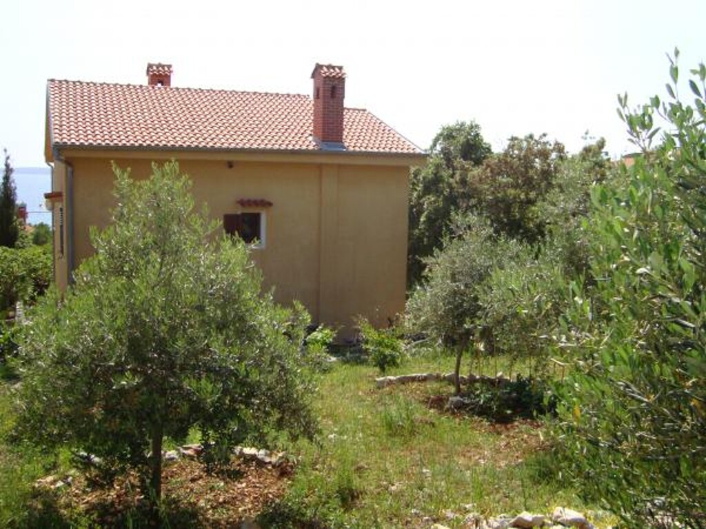 Image 3814051 - 6