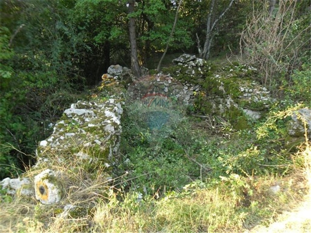 Image 5411027 - 3
