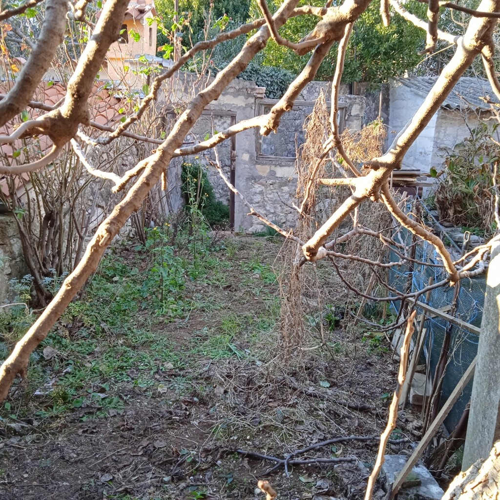 Image 13