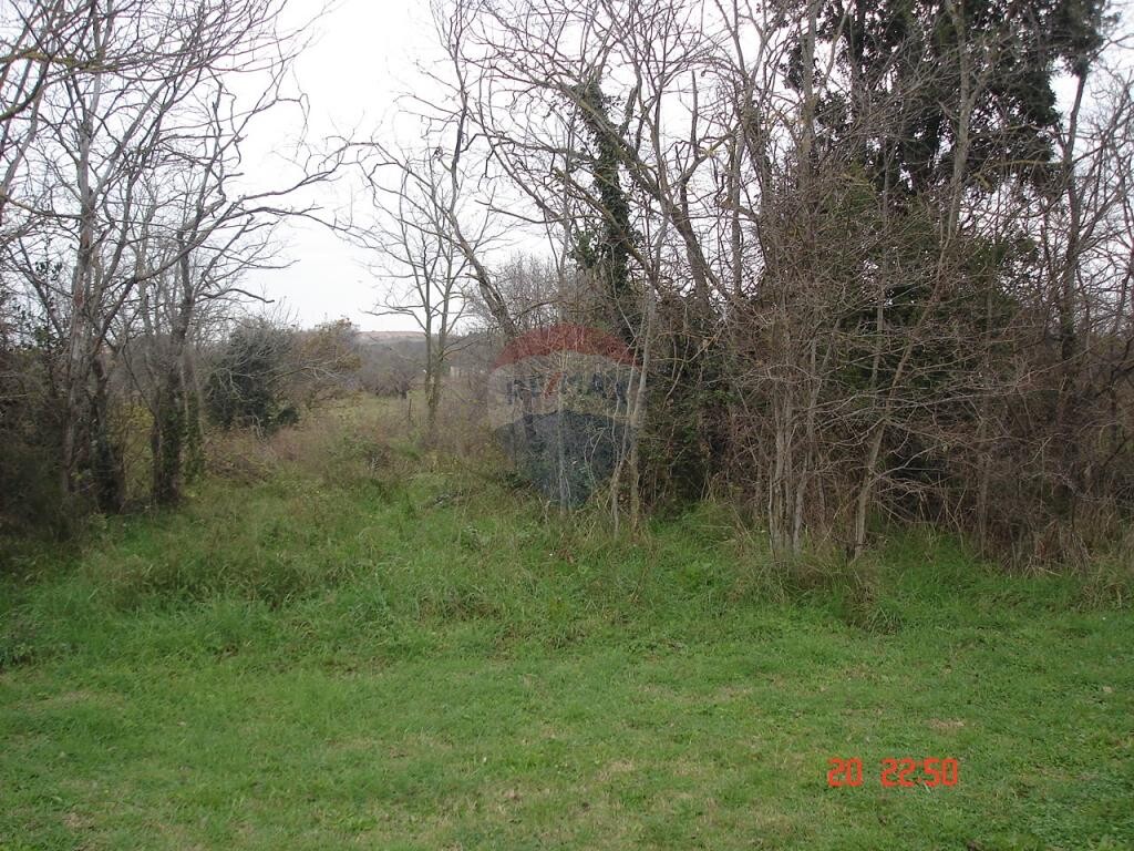 Image 5410942 - 1
