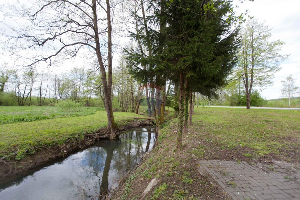 Image 5430214 - 2