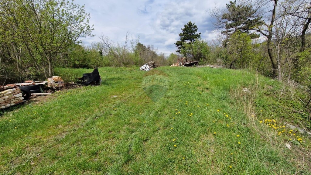 Image 5430035 - 2