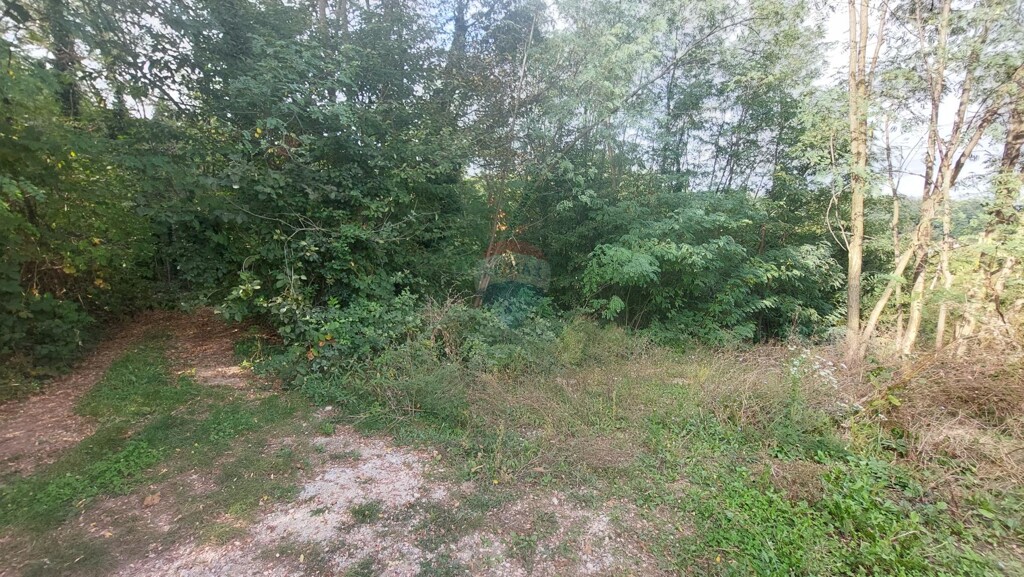 Image 5429393 - 4