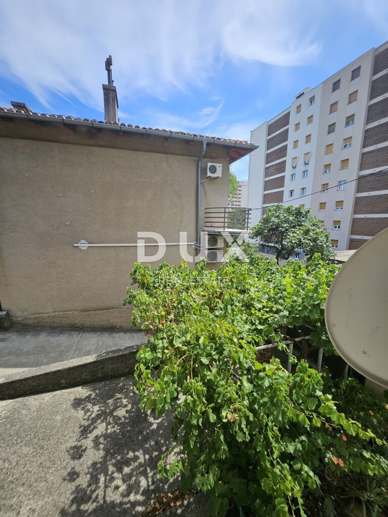 Image 15