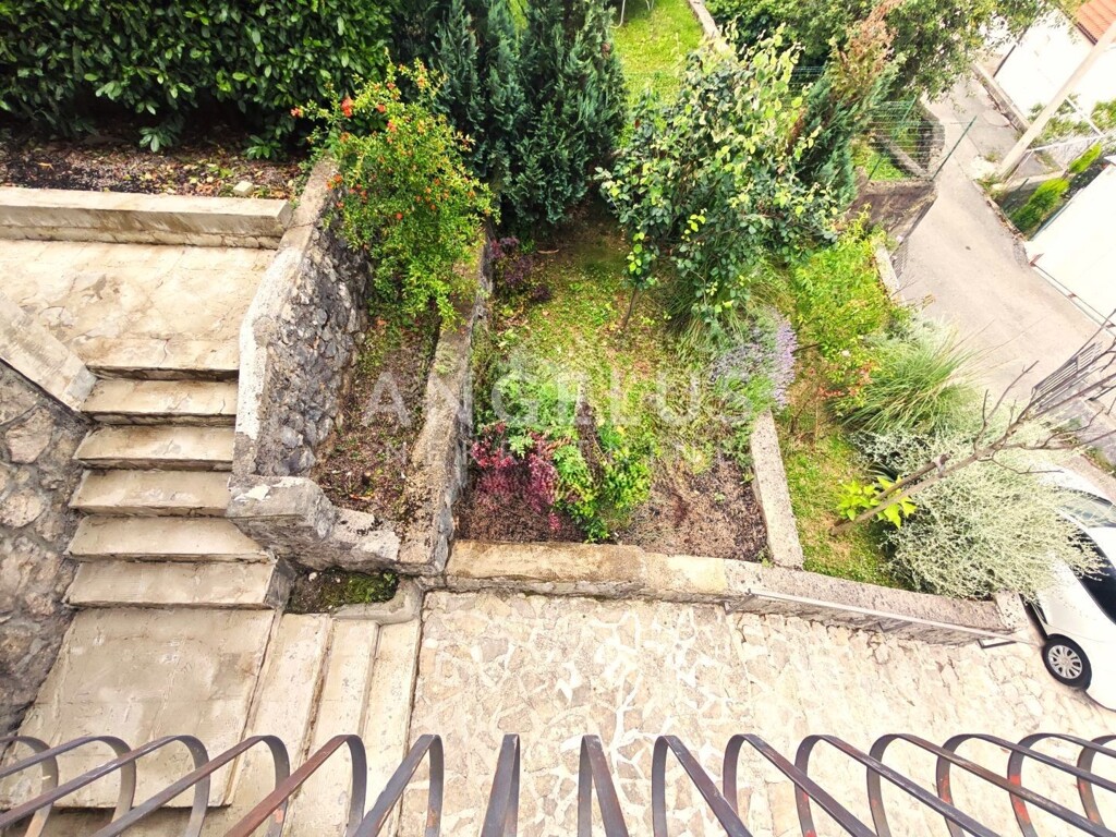 Image 21