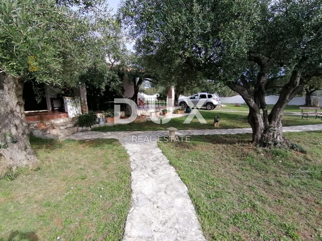 Image 13