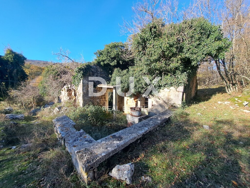 Image 14