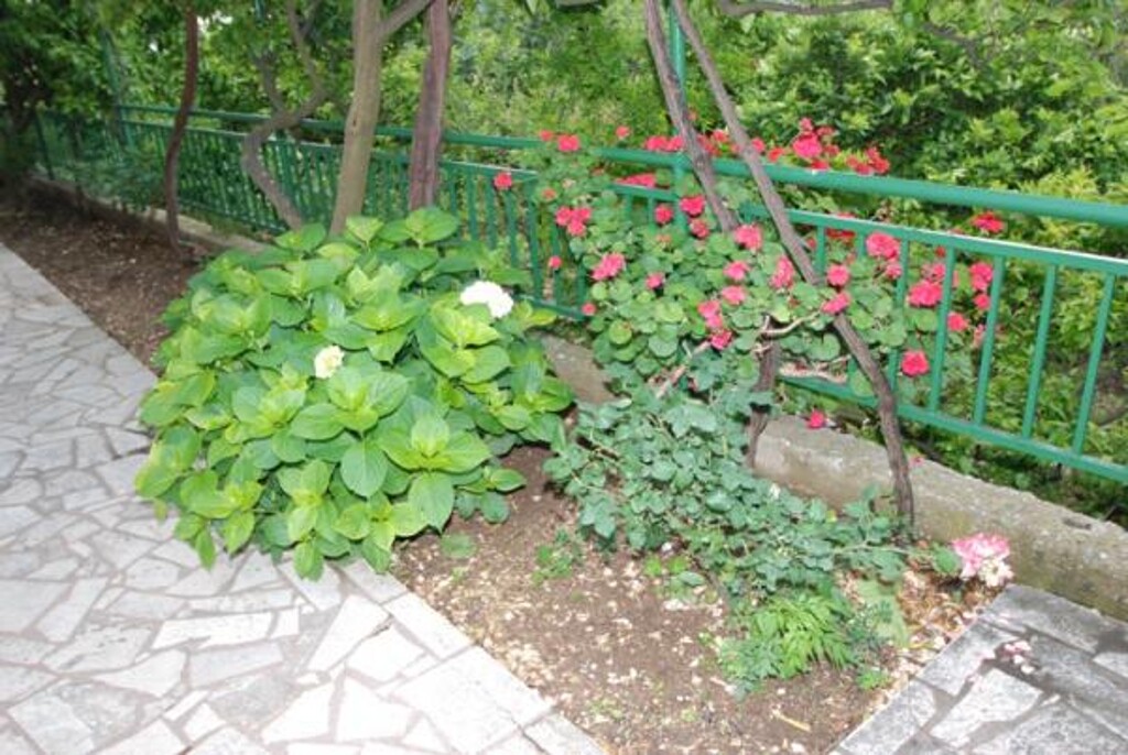 Image 3812902 - 3
