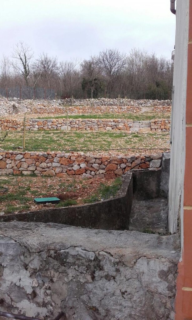 Image 19