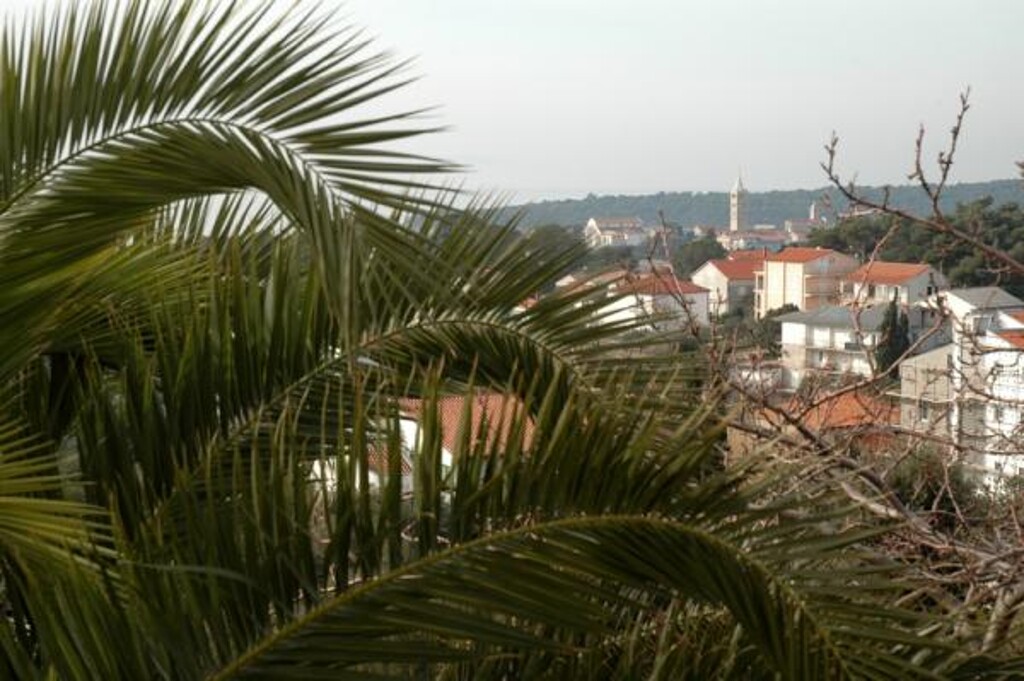 Image 3838603 - 4