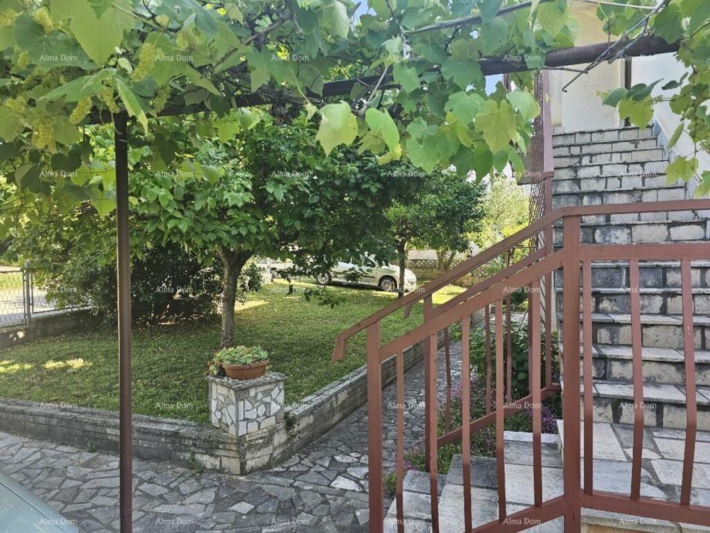 Image 13
