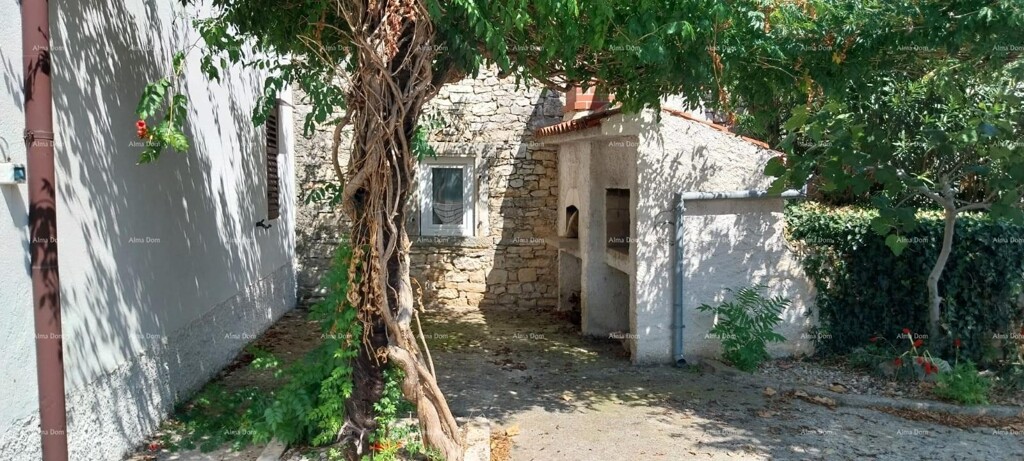 Image 21