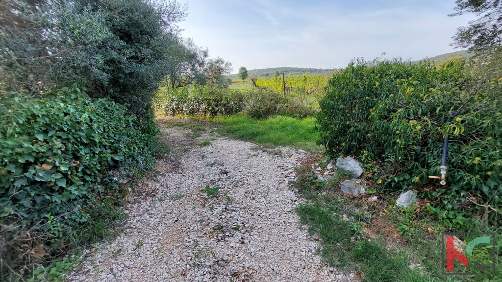 Image 14