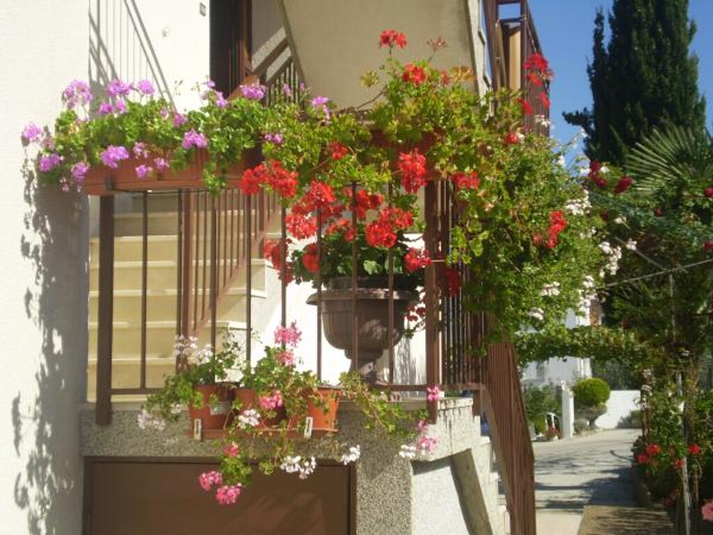 Image 3811502 - 6