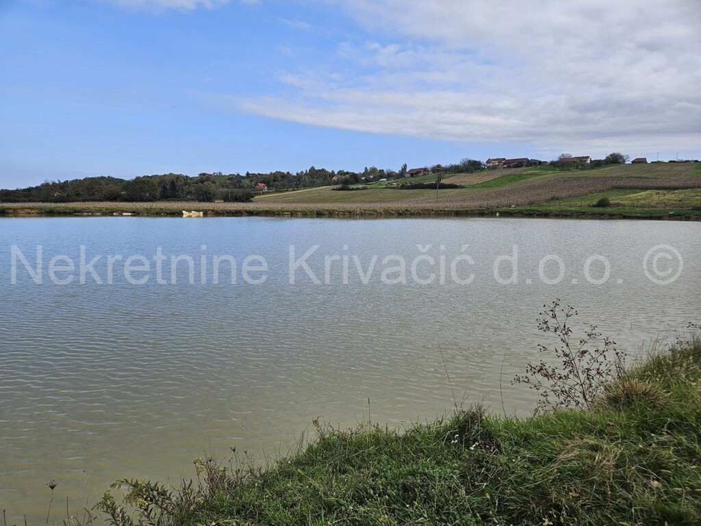 Image 6164305 - 6