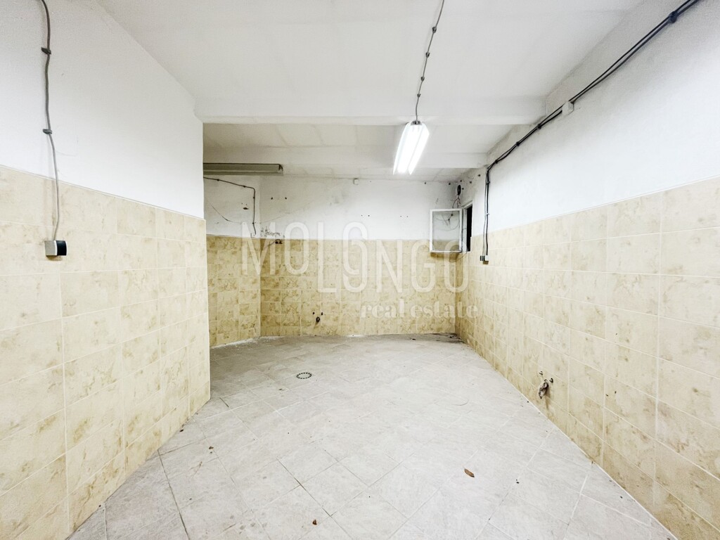 Image 13