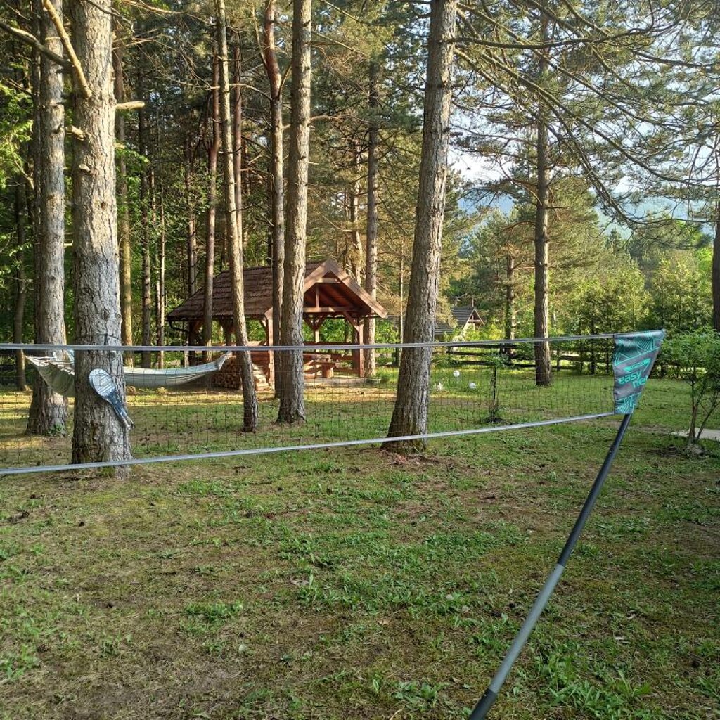 Image 3838431 - 6